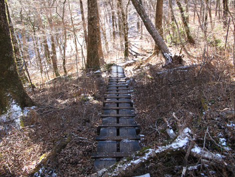 20181214hike (266)